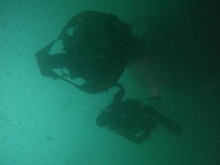 Torpedobuis en duiker (Tomas Termote)